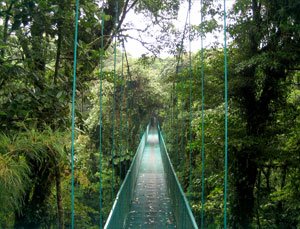 Monteverde Selvatura